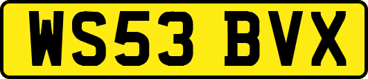 WS53BVX