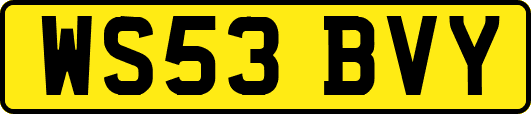 WS53BVY
