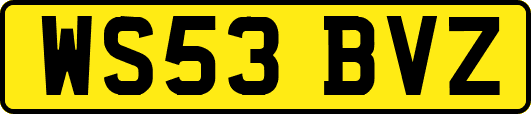 WS53BVZ