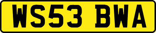 WS53BWA