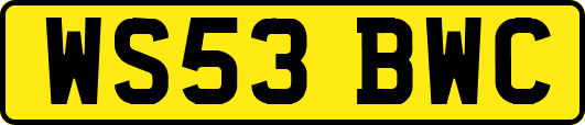 WS53BWC
