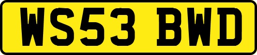 WS53BWD