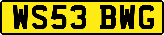 WS53BWG
