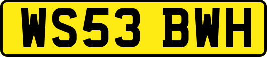 WS53BWH