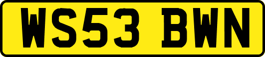 WS53BWN