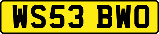 WS53BWO