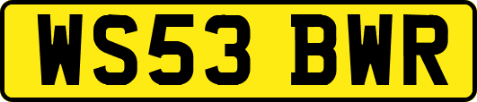 WS53BWR