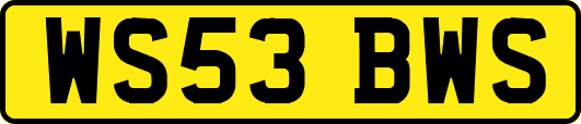 WS53BWS