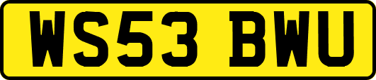 WS53BWU