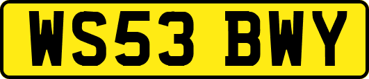 WS53BWY