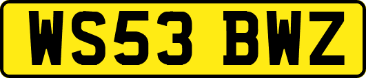 WS53BWZ
