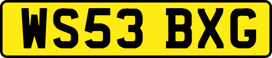 WS53BXG