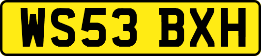 WS53BXH