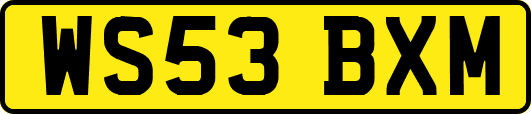 WS53BXM