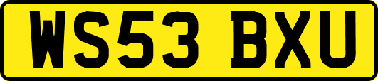 WS53BXU