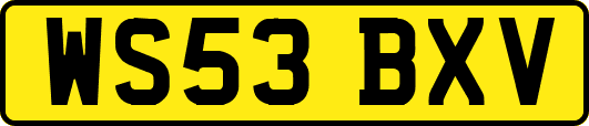 WS53BXV