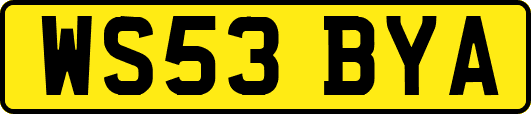 WS53BYA