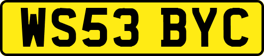 WS53BYC