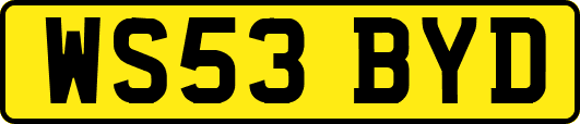WS53BYD