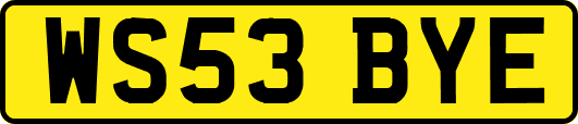 WS53BYE