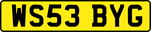 WS53BYG