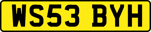 WS53BYH