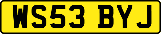 WS53BYJ