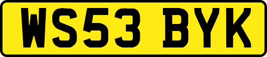 WS53BYK