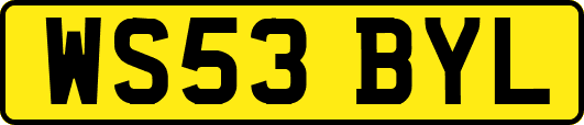 WS53BYL