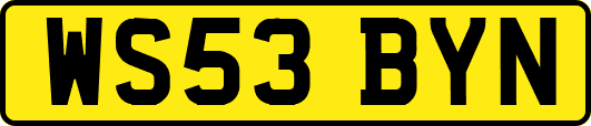 WS53BYN