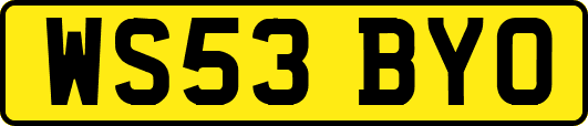 WS53BYO
