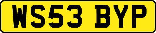 WS53BYP