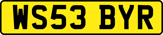 WS53BYR