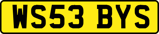 WS53BYS