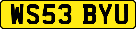 WS53BYU