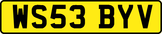 WS53BYV