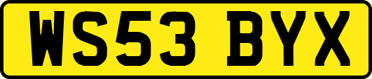 WS53BYX