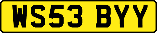 WS53BYY