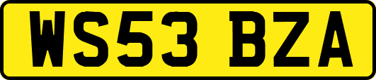 WS53BZA