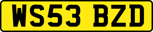 WS53BZD