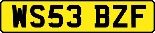 WS53BZF