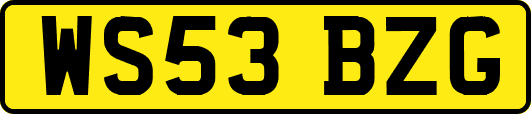 WS53BZG