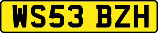 WS53BZH