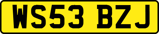 WS53BZJ