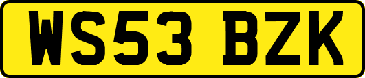 WS53BZK