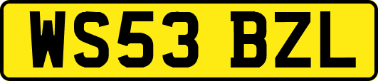 WS53BZL