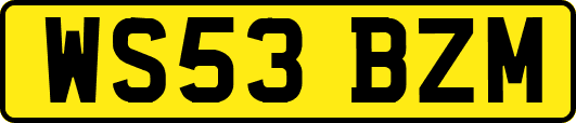 WS53BZM