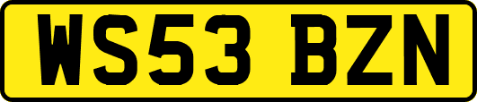 WS53BZN