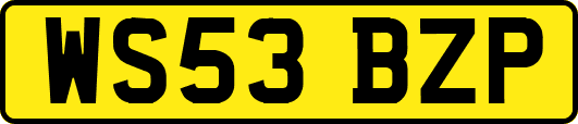 WS53BZP