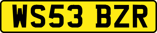 WS53BZR